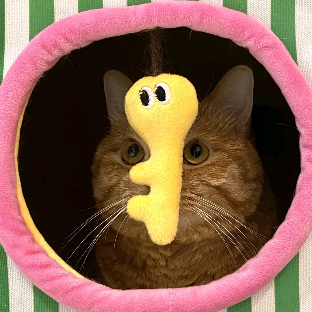 那一天