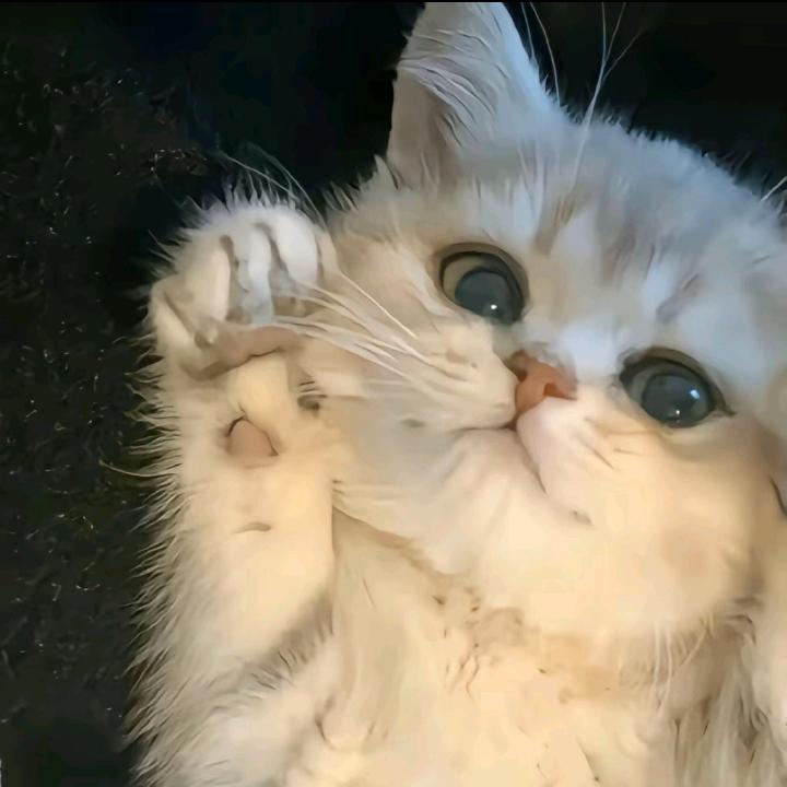 小me装晕