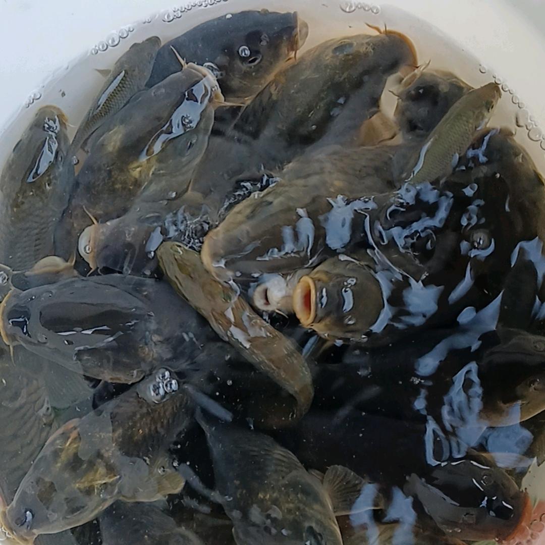 🎉风雨💐人生🌺