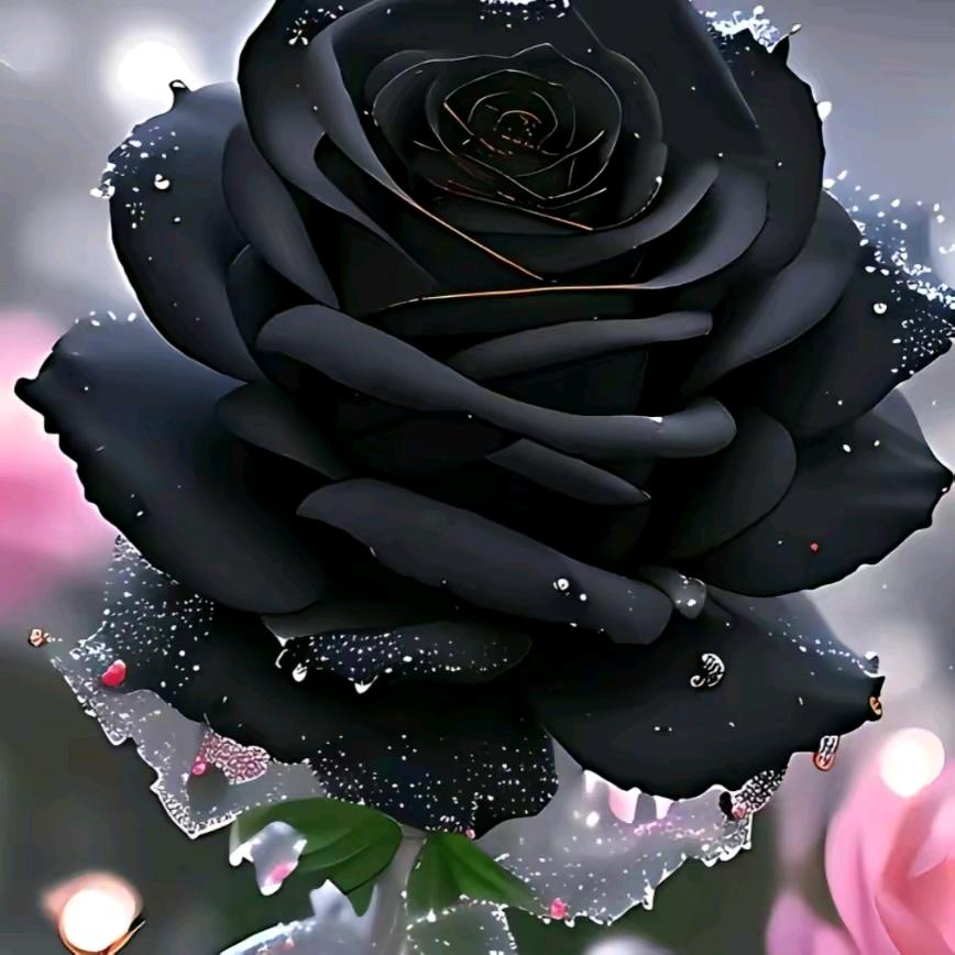 古田水果搬运工