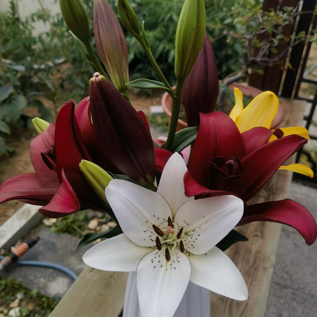 以铜为镜