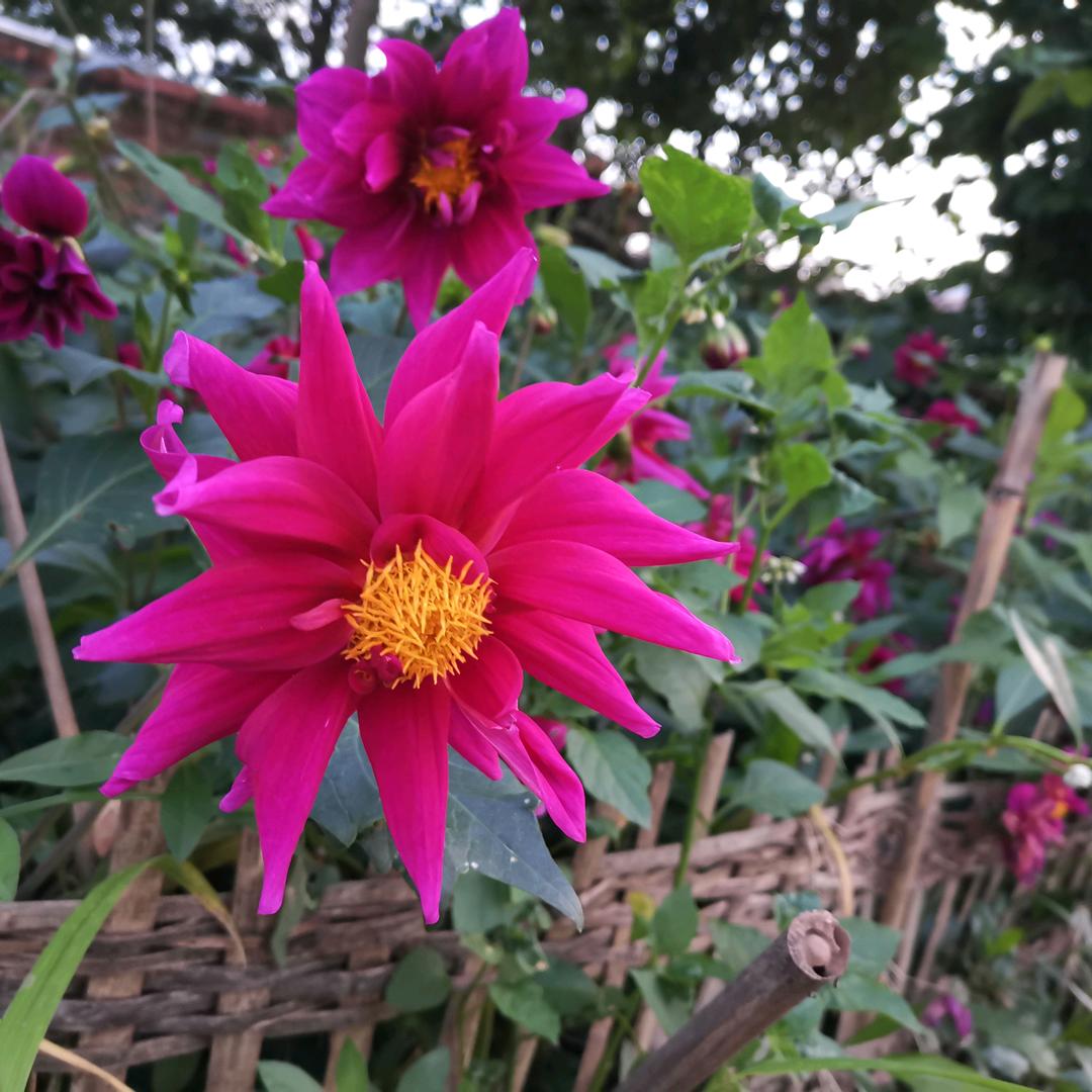 晴空👩‍❤️‍💋‍👩万李