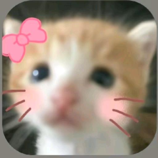 uRqVvwa