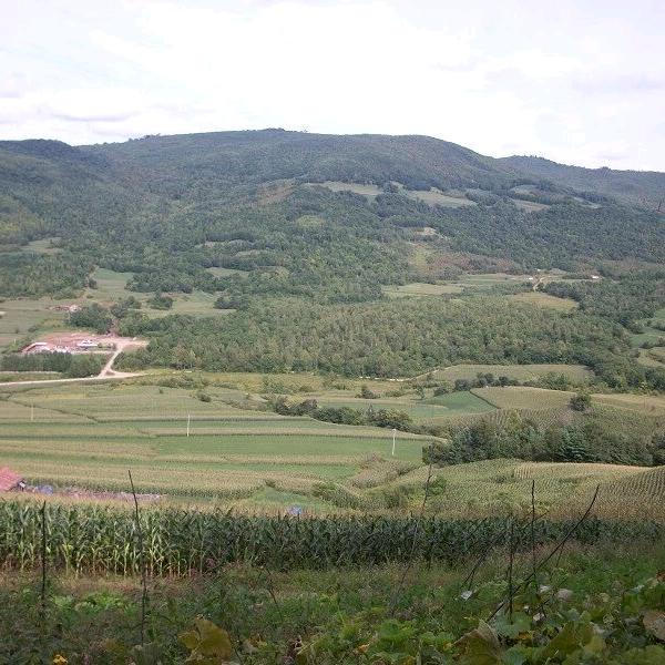 恨古人不见吾狂耳！🎹