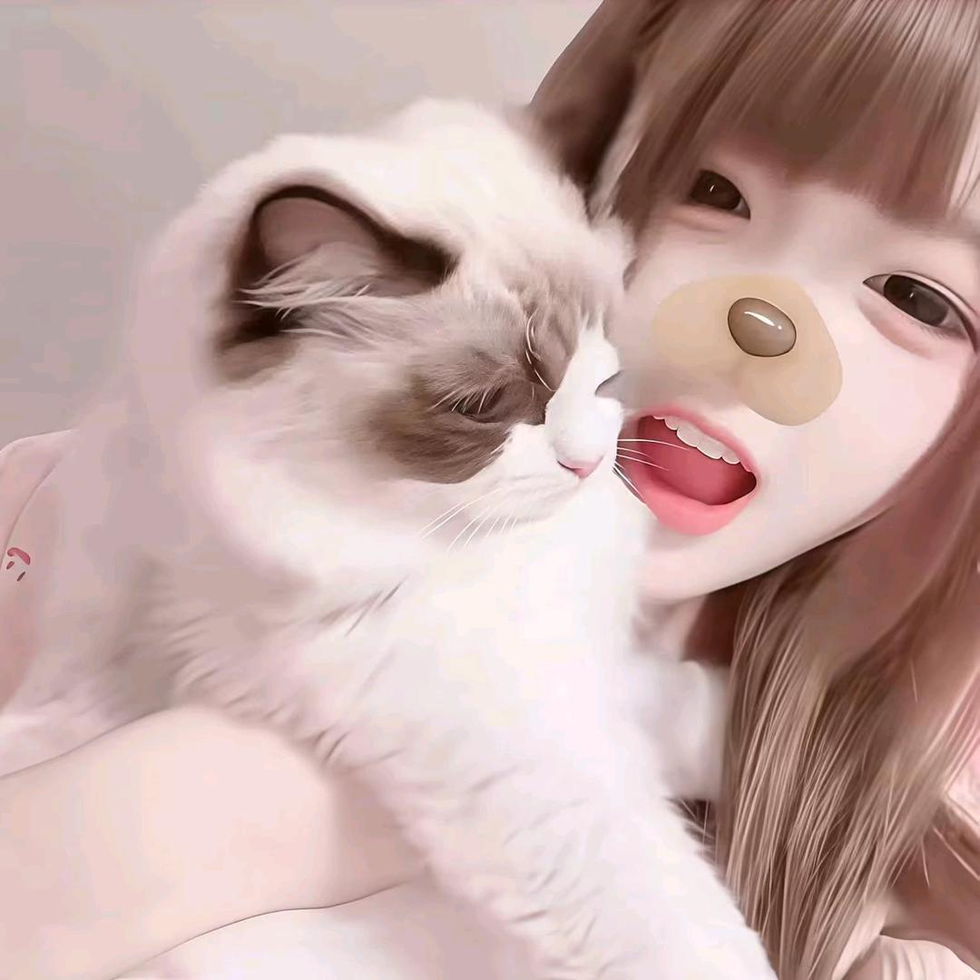 小婷蛋挞丸.