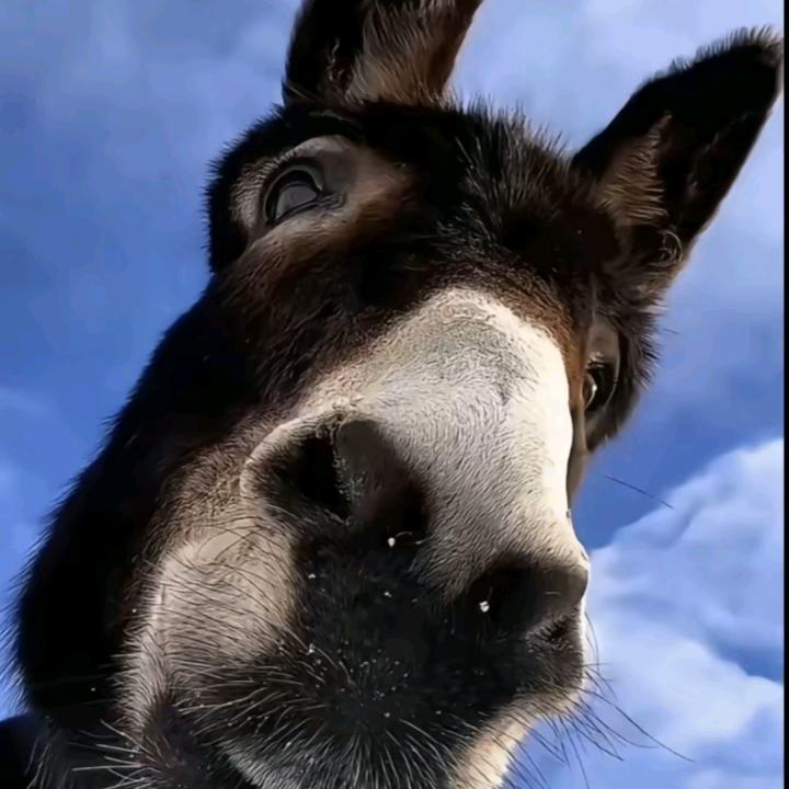 抽烟喝酒忘故人