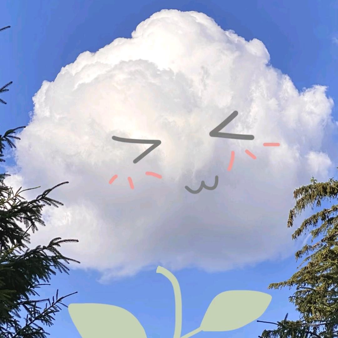 阿雪儿₍˄·͈༝·͈˄₎◞