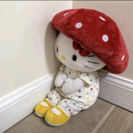 A23.（被何洛洛翻牌版）