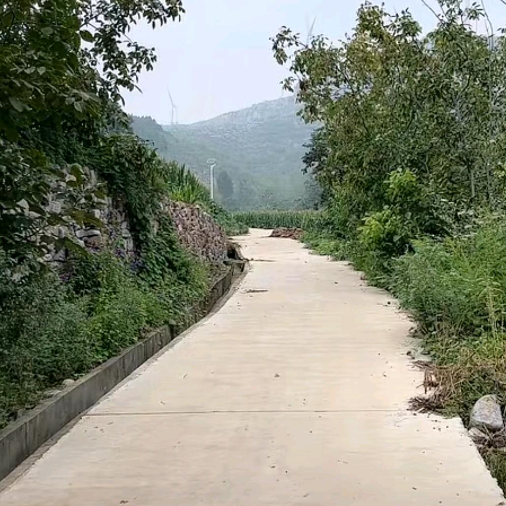 金池