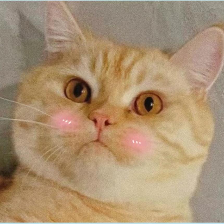 重生之吕布是只猫