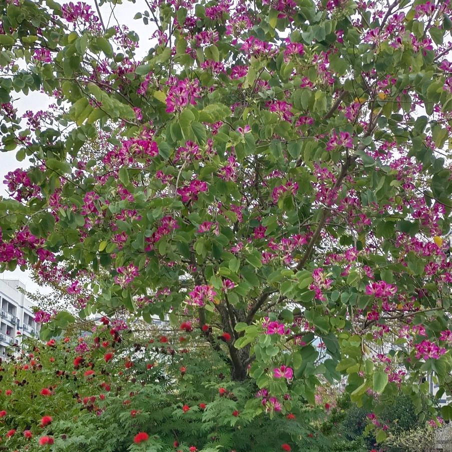 你的世界我不懂