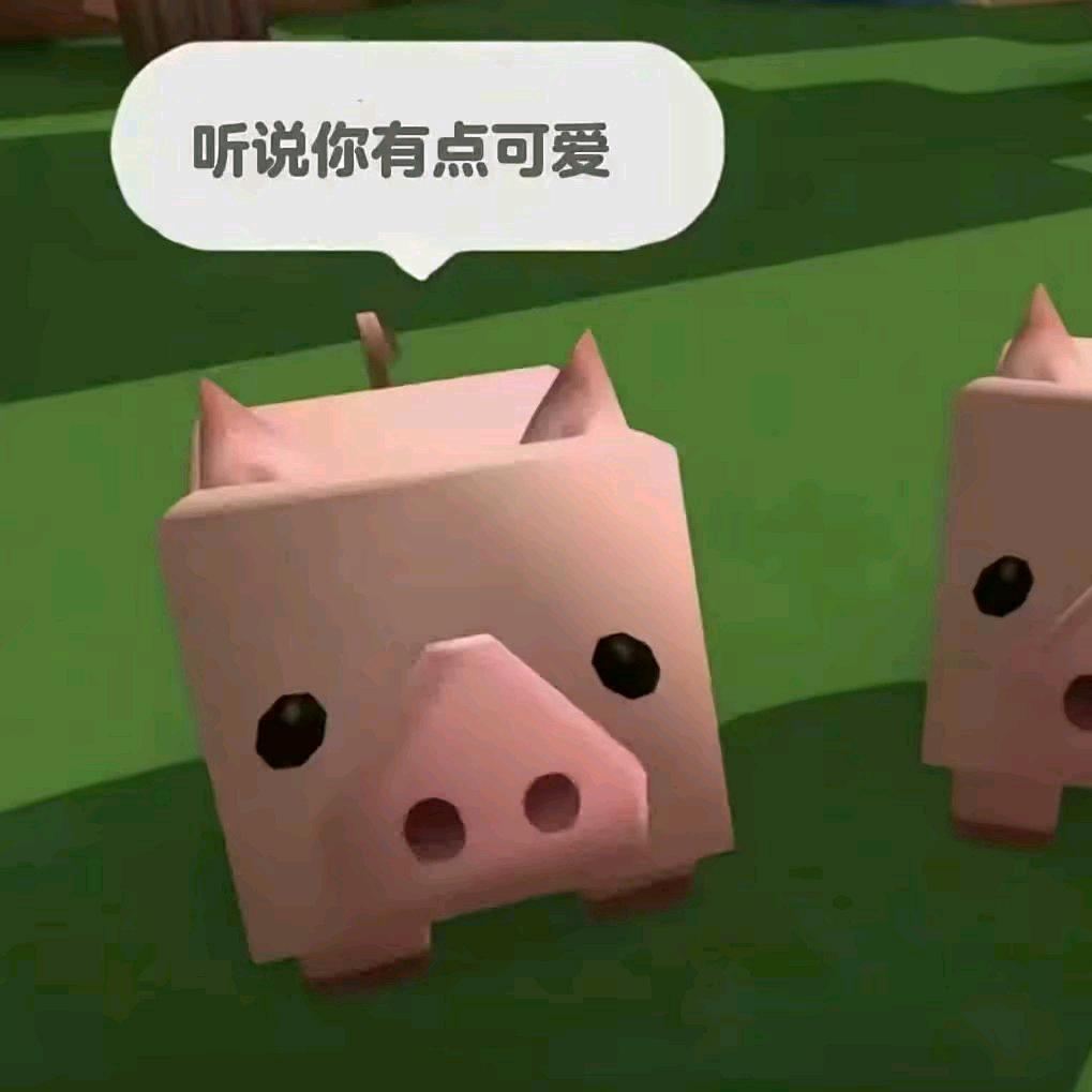 𝙋𝙞𝙢𝙧𝙞𝙮