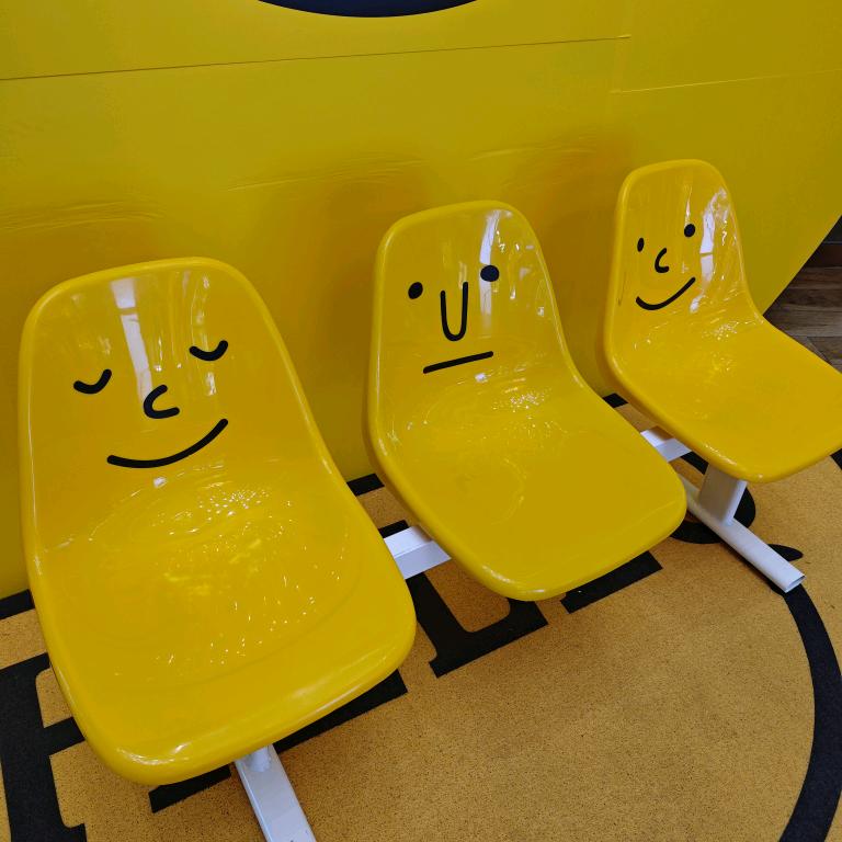 亚德里亚海的猪