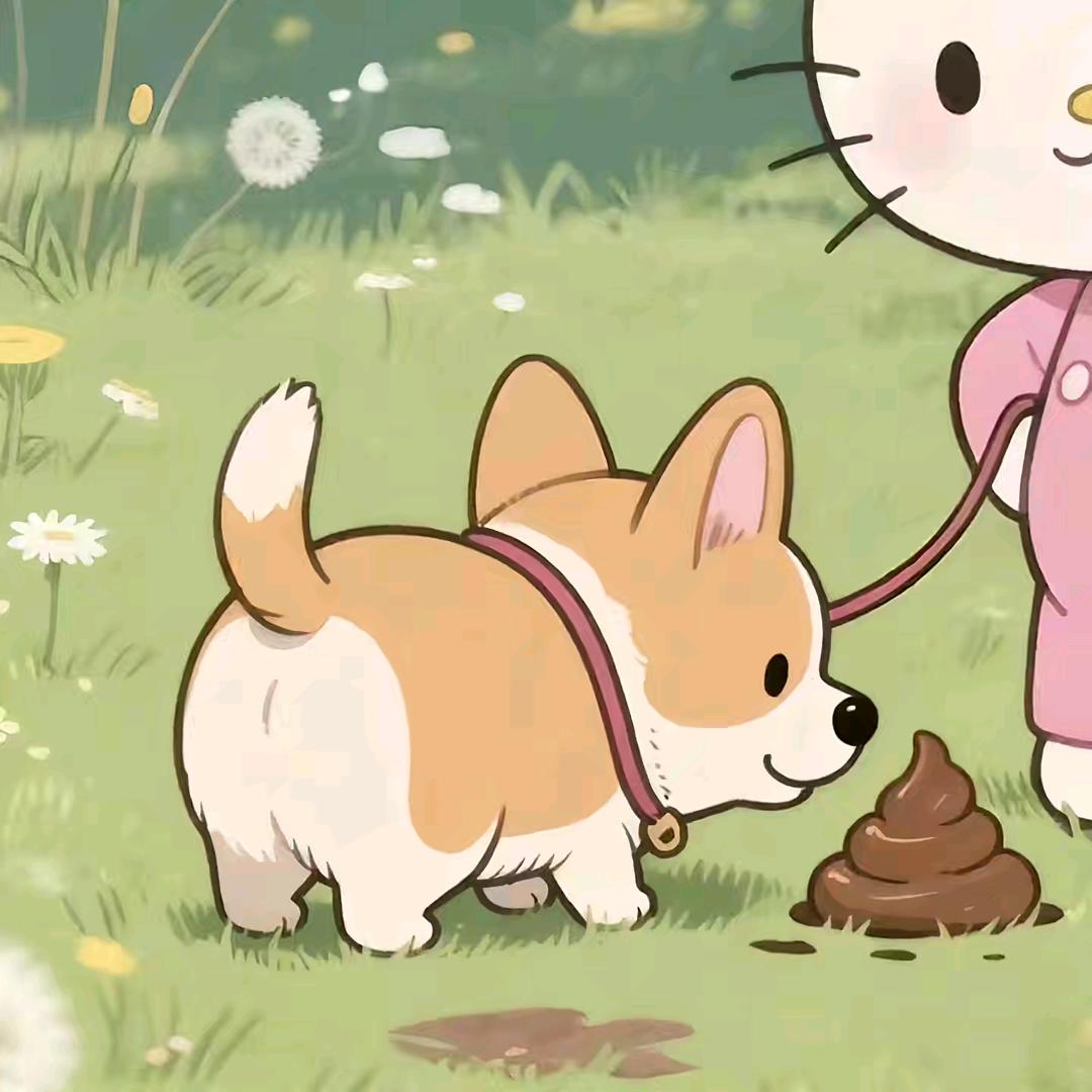 蛋蛋
