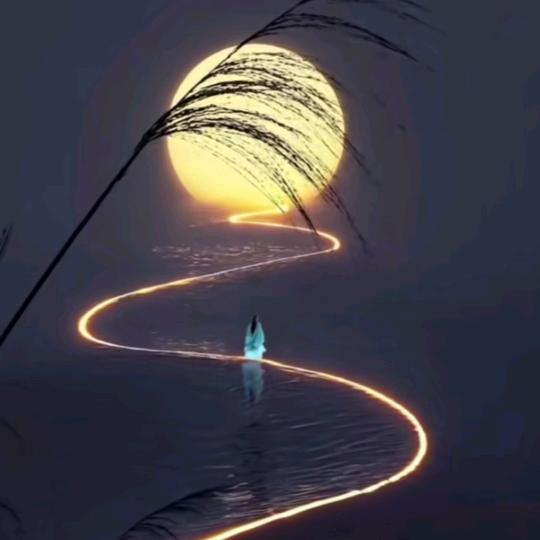 弦上月