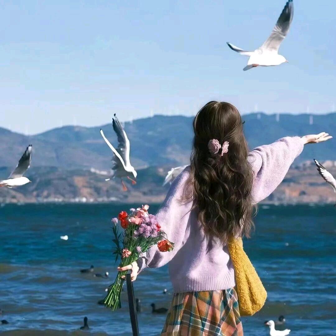 𖤣𖥧鹿屿森𖥣｡