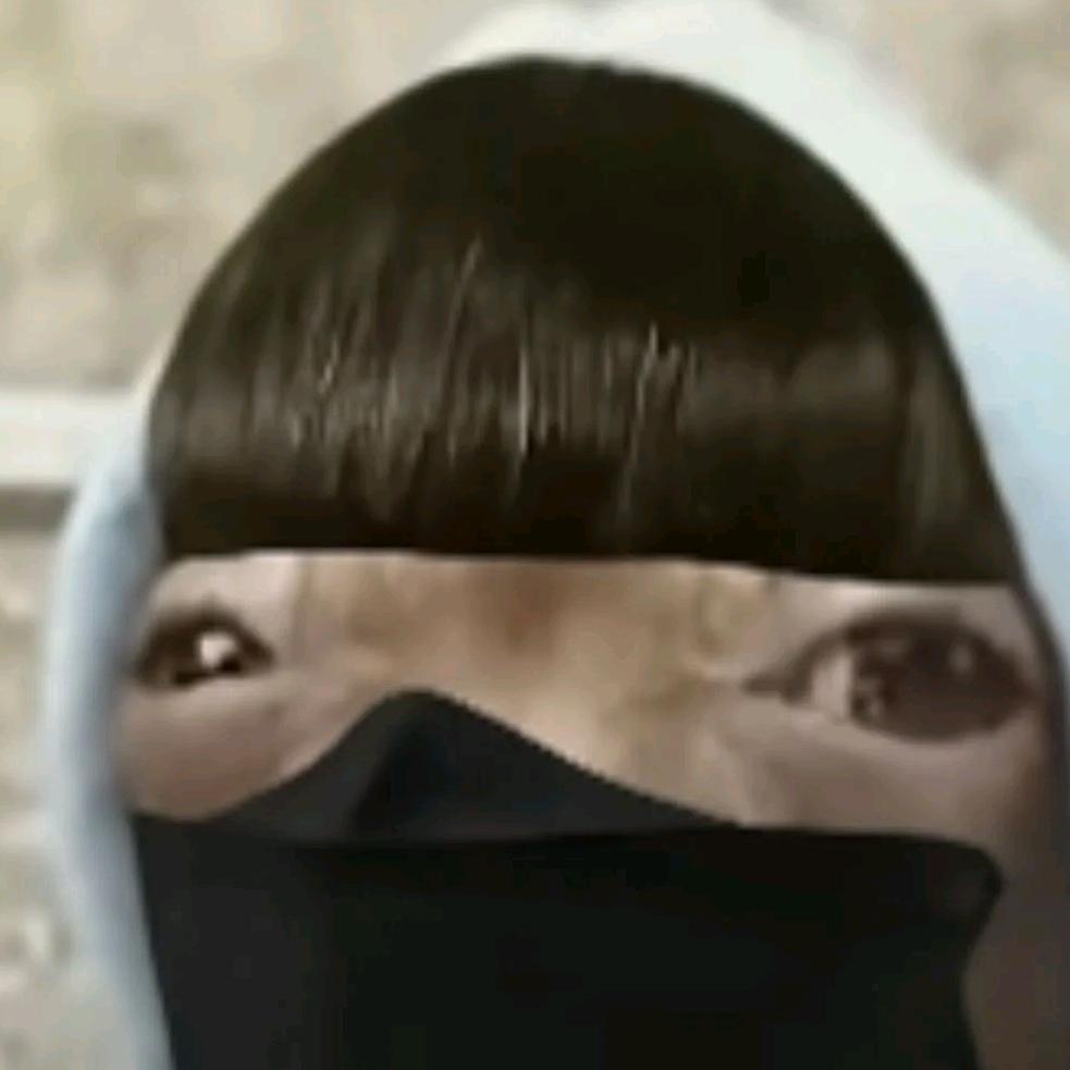 广西皇家理工版嘉豪