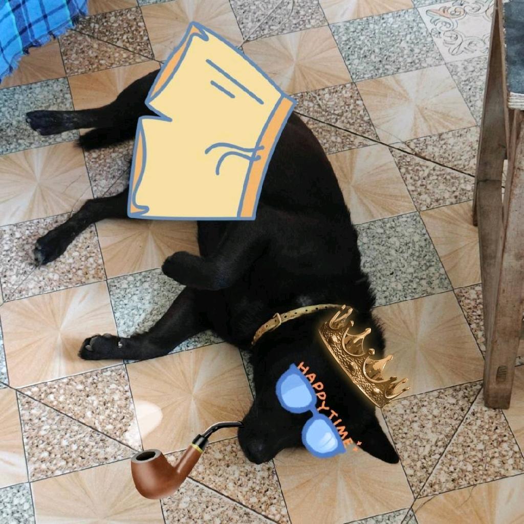 梦.