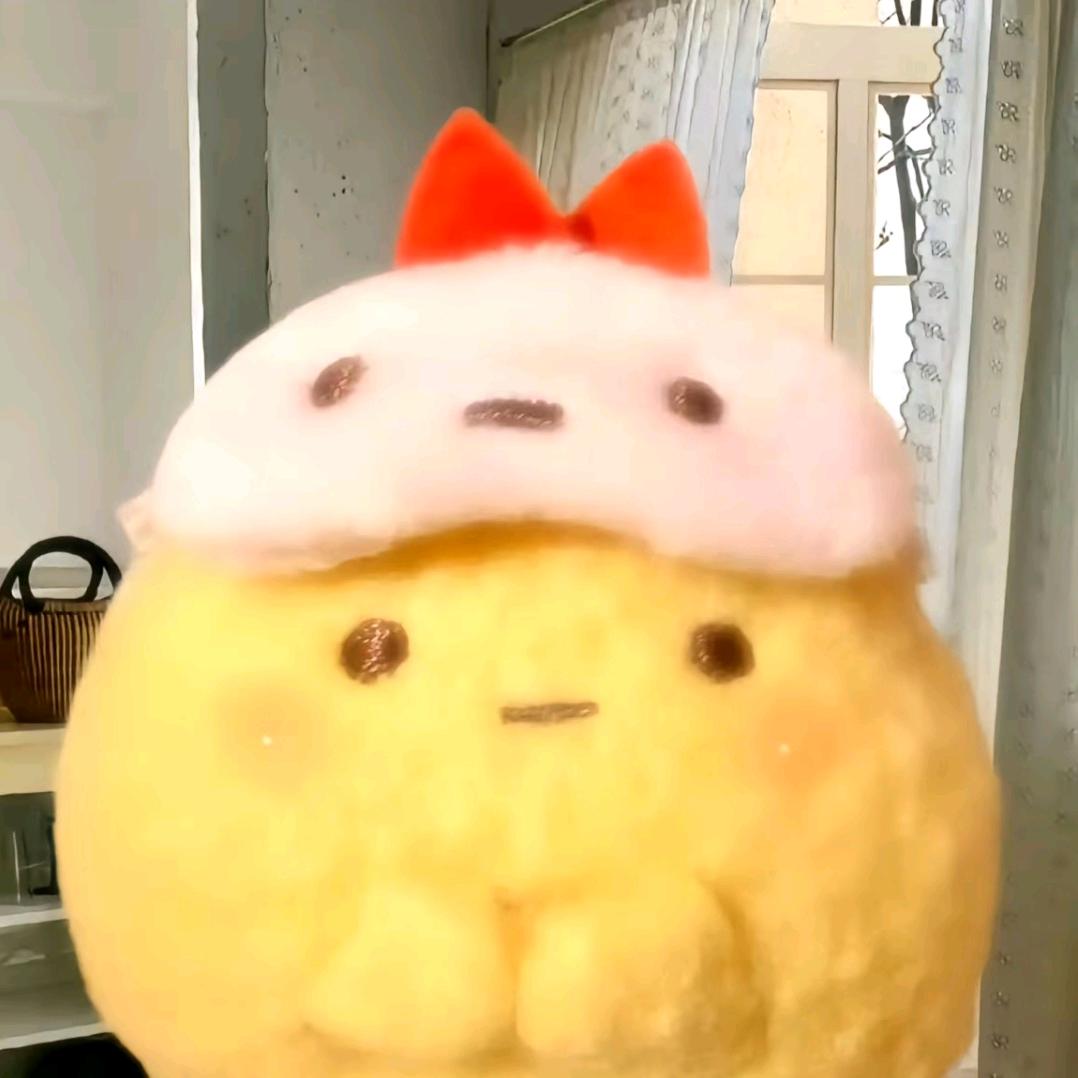 小熊O_o