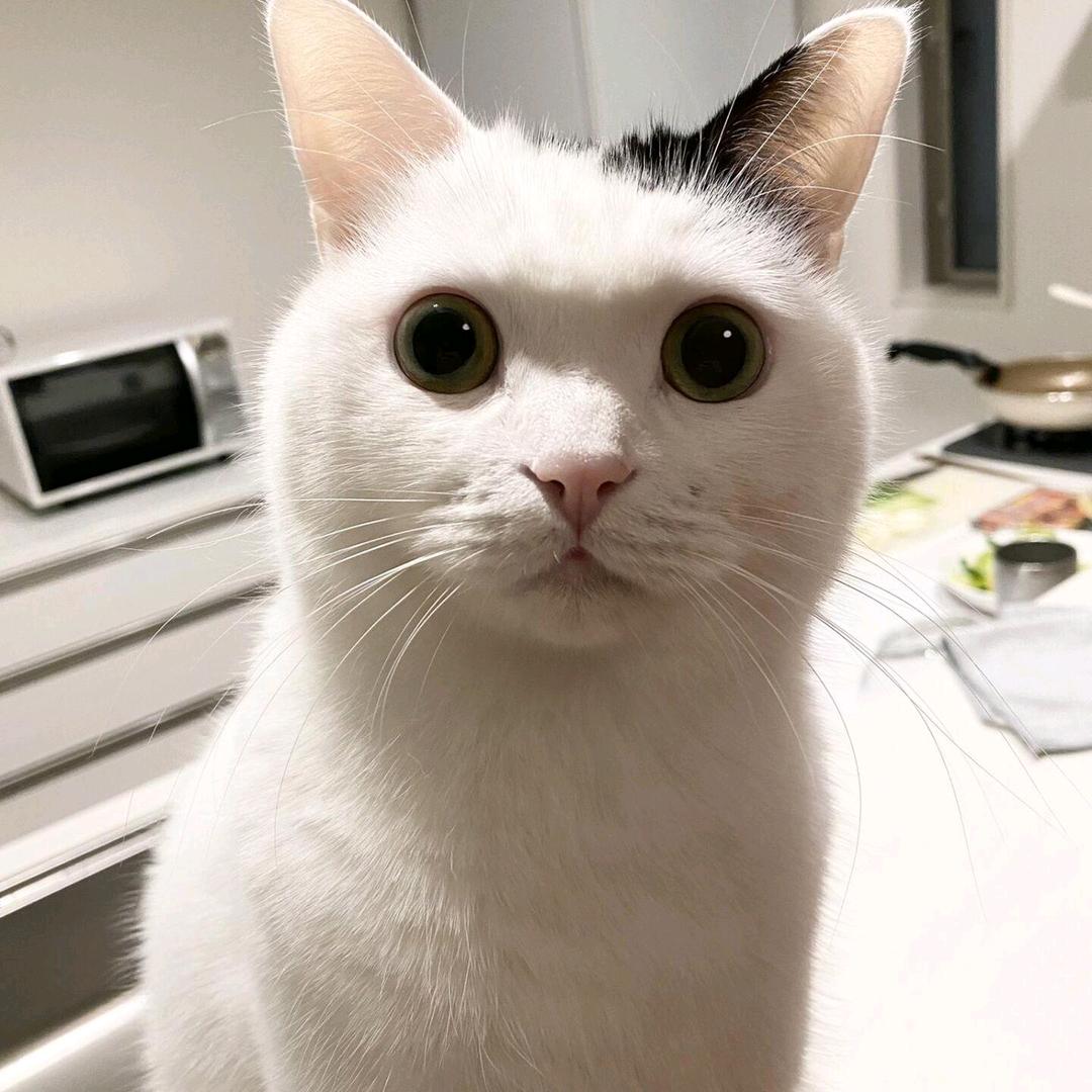 听说名字太长会有傻子跟着读