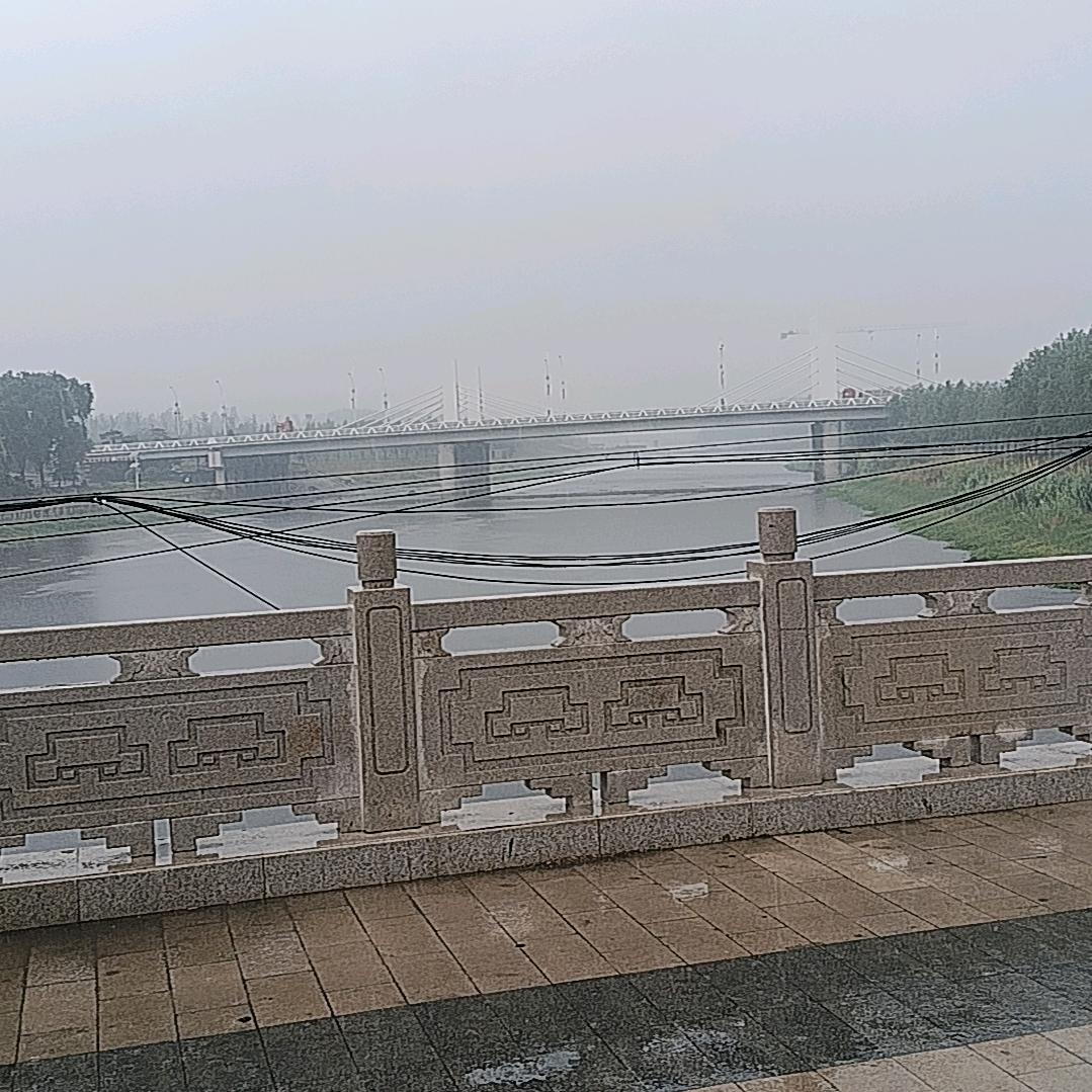 锦觅