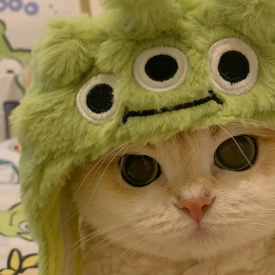 孟婆、来碗豆浆