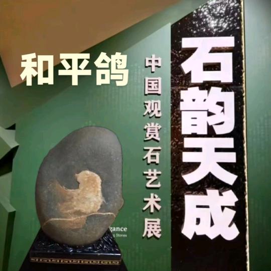 名家名石
