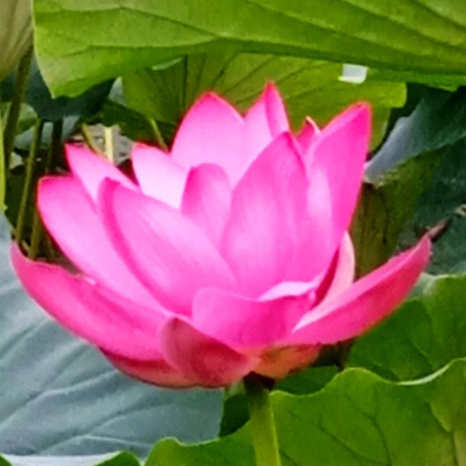 佰陌