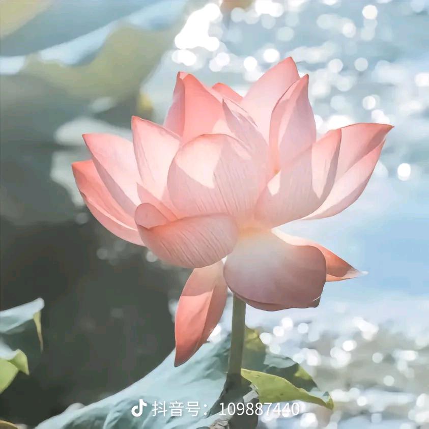 心如止水