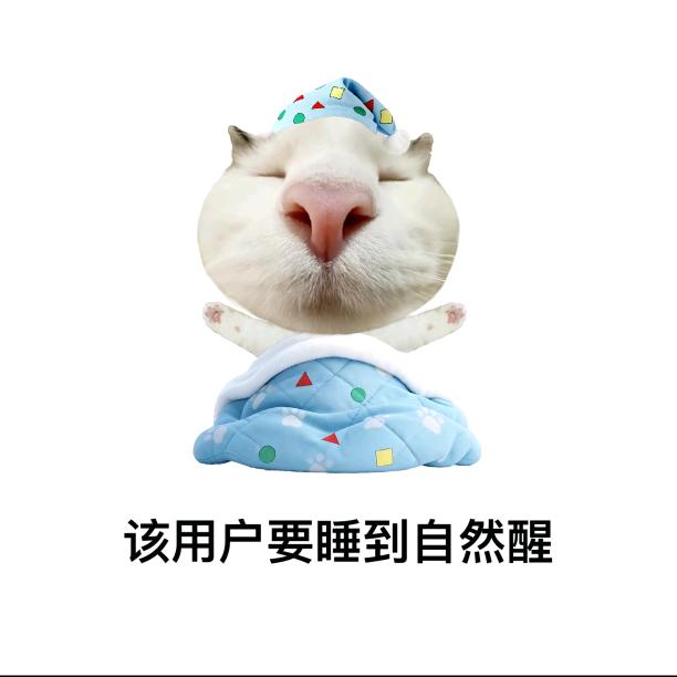 吃饭喜欢吃高代和数分
