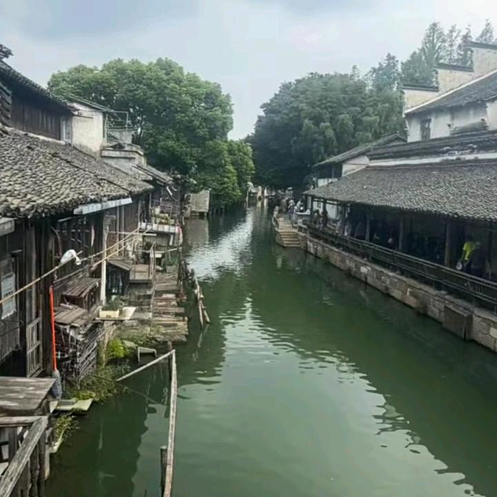沙儿飞飞