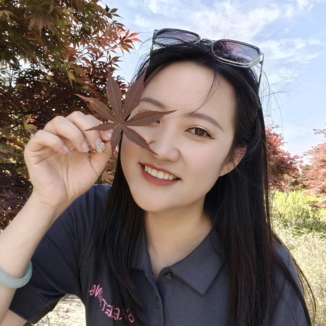 盛夏🌸凤