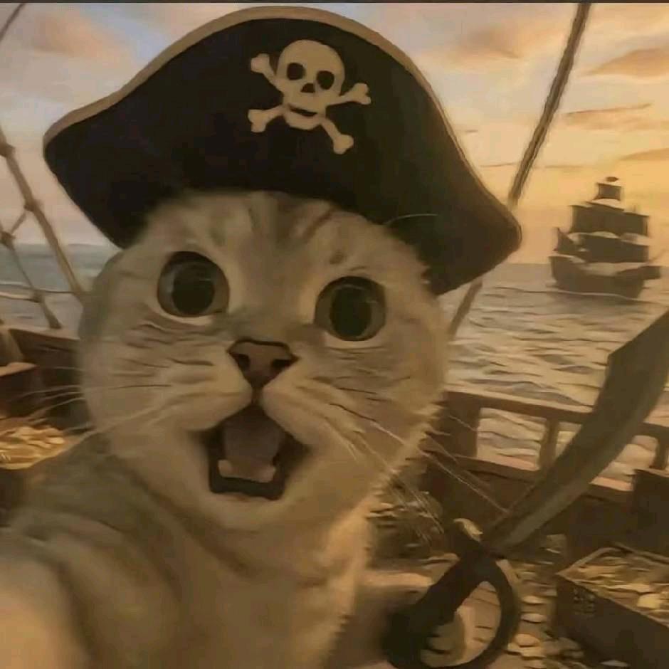 石家庄蠢猫