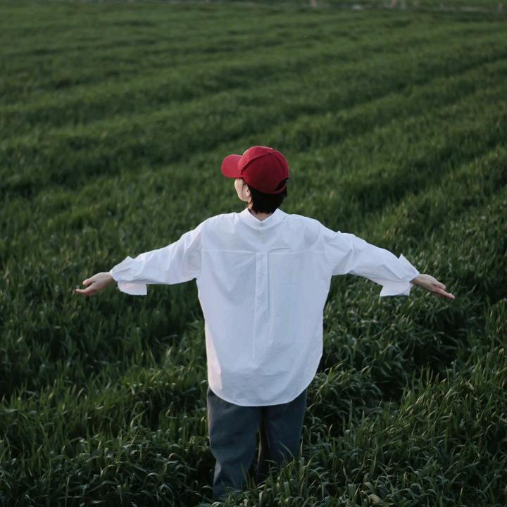 南🕊️北