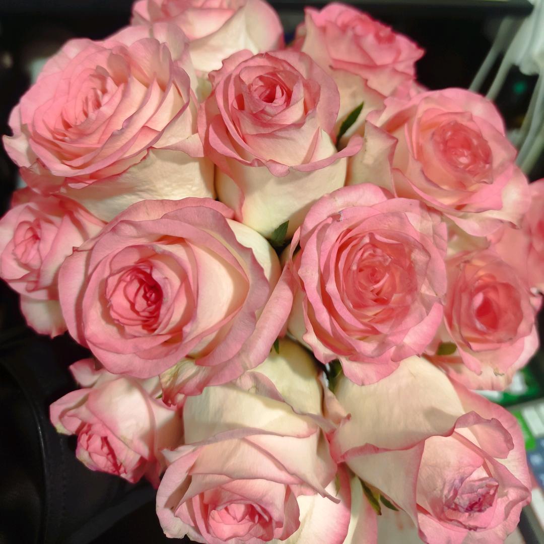 🌸Yao瑶˗ˋˏ♡ˎˊ˗