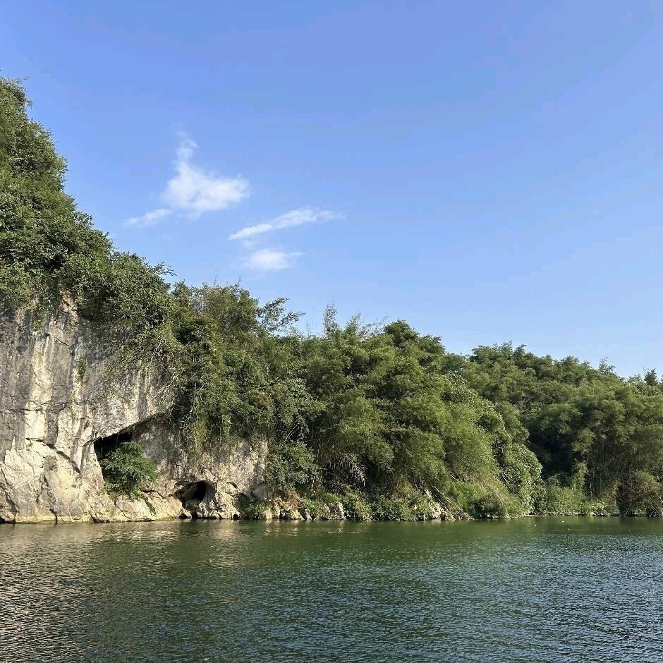胖虎.11