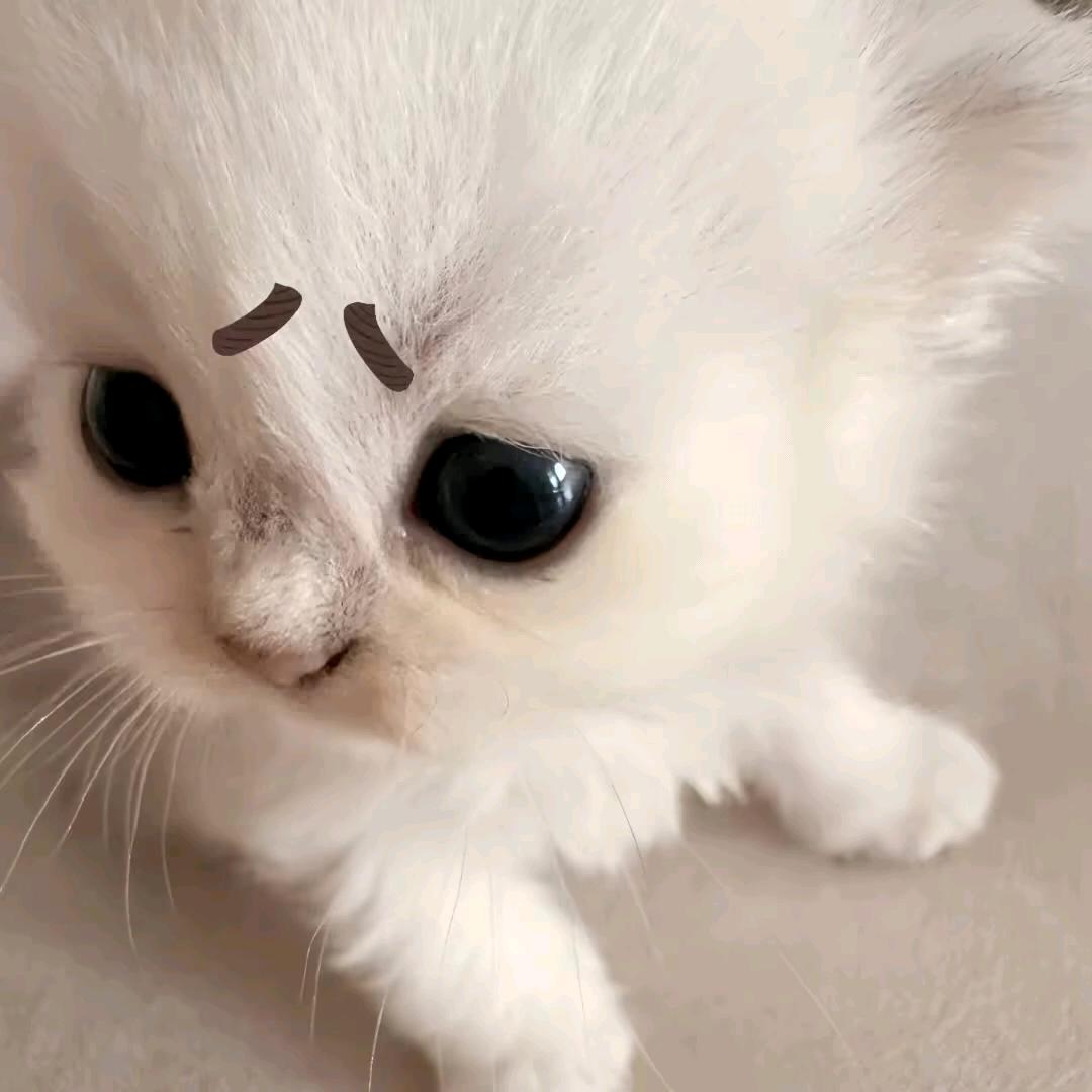 YU