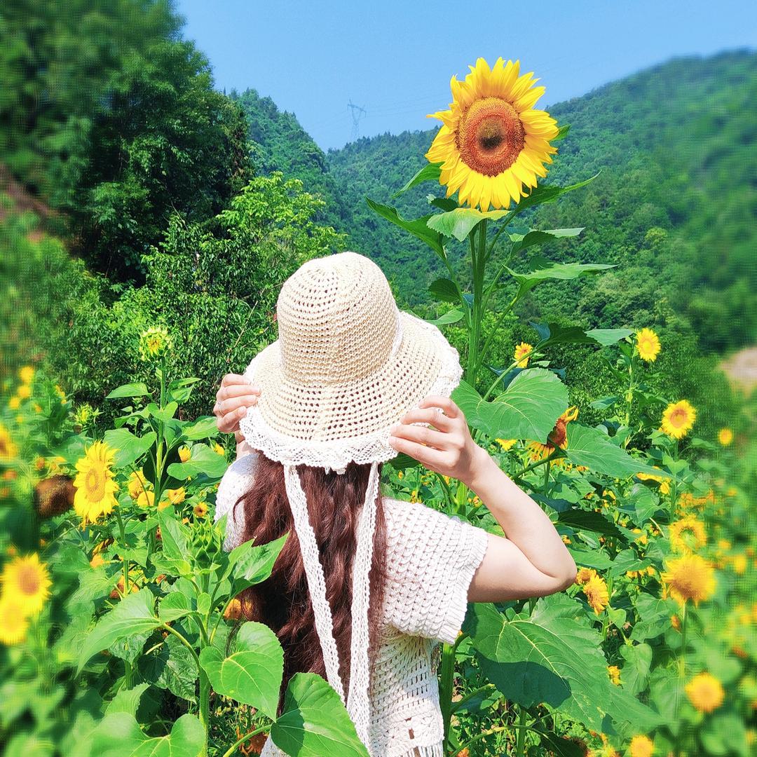 香可儿@