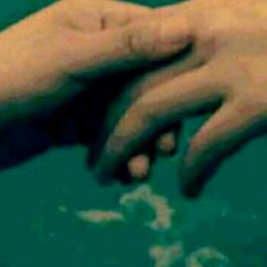 薄荷微光都很凉