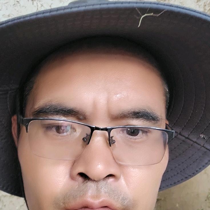 脱缰的野马