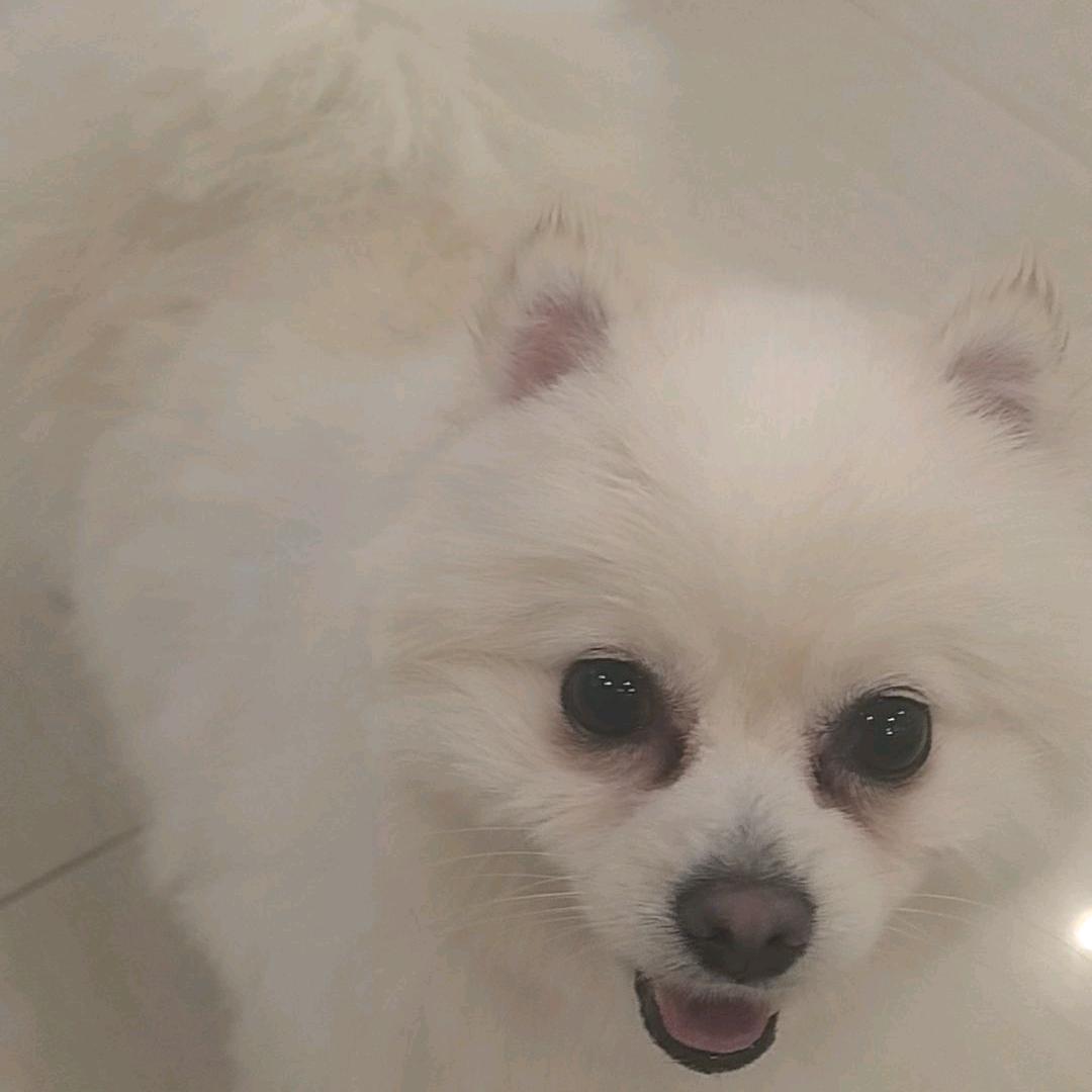 樱樱樱
