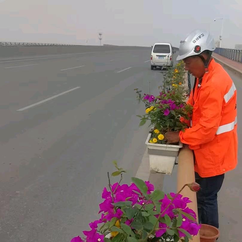 金华格林绿化工程