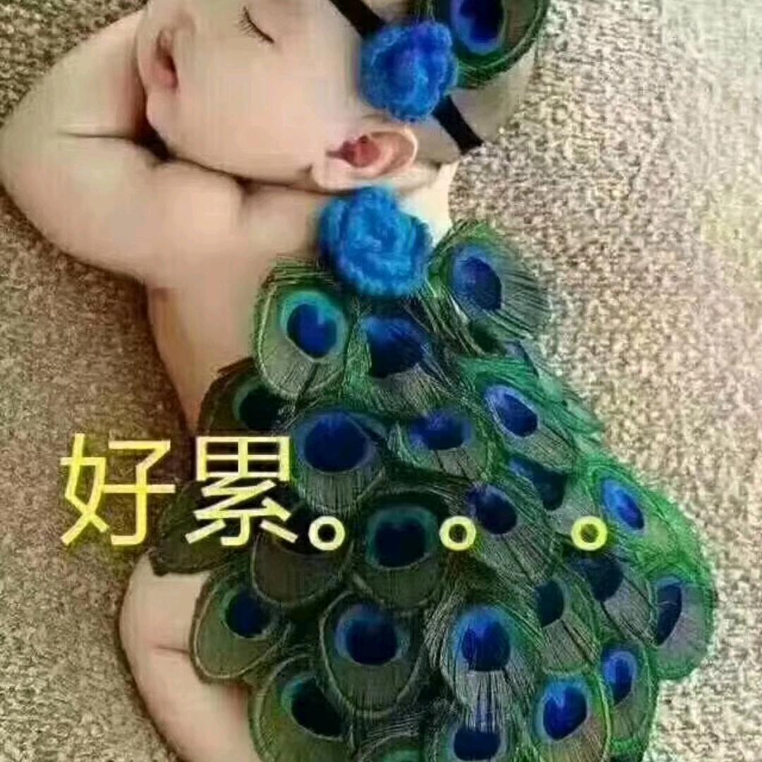 赛宝