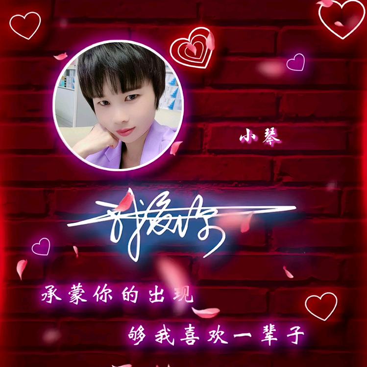 小琴