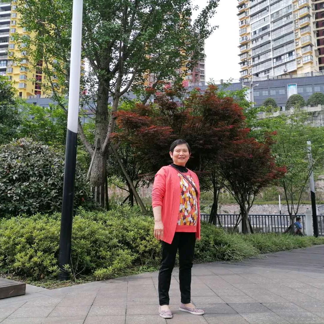杨昭明A7310《晚上8点半开播》