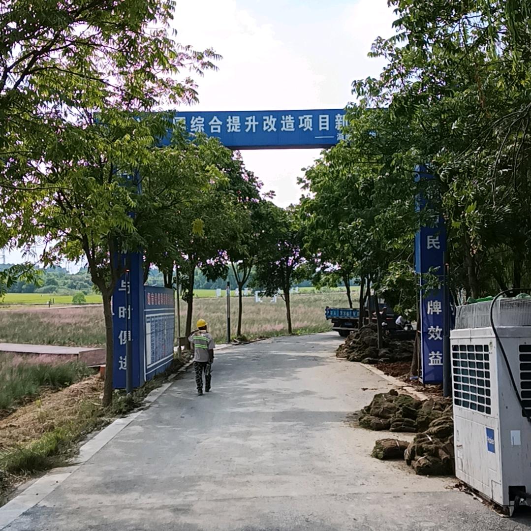 沉默