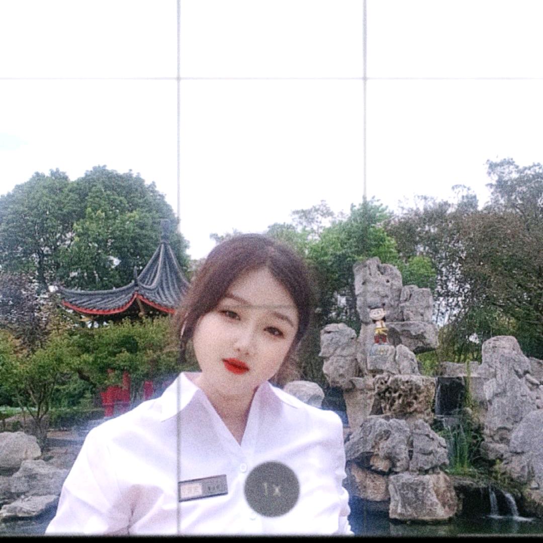 鲍鲍