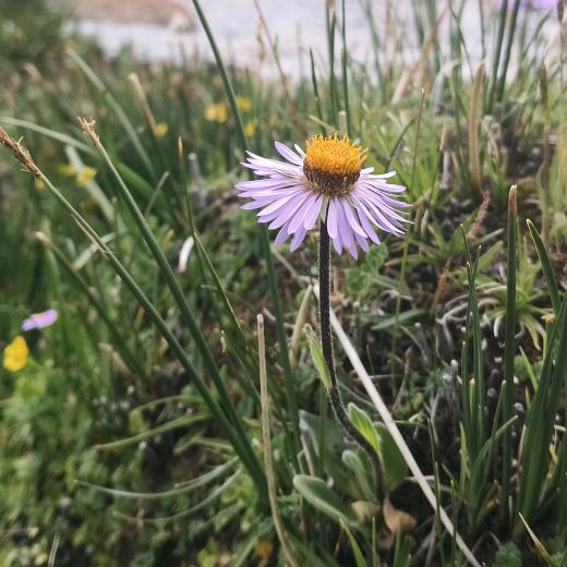 ℳQ______❥⁵²ºএ᭄