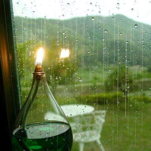 临风听暮雨