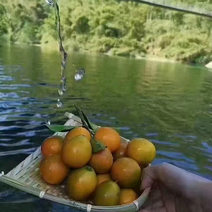 @谢小姐